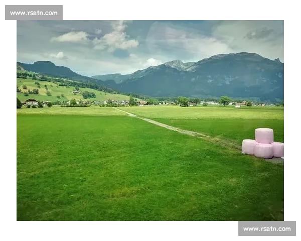 瑞士对阵德国的关键之战揭示欧洲足球新格局走向与未来竞争态势洞察